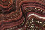 Free-Standing Polished Tiger Iron Stromatolite - Ga #222120-1